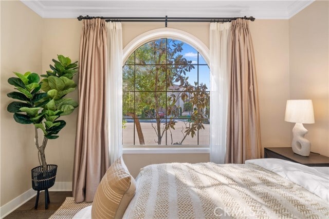 Photo - 74 Gainsboro