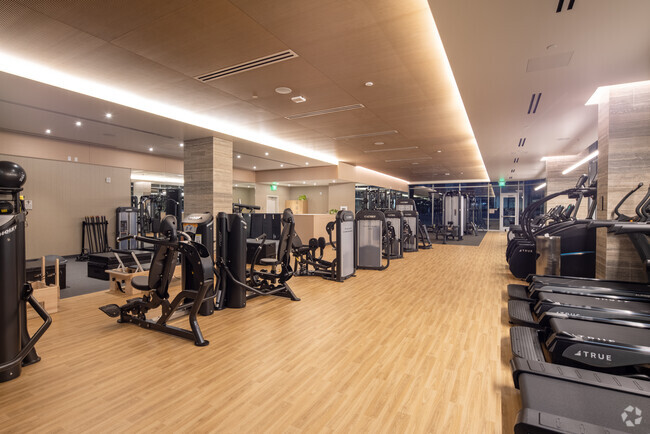 Gym - One Museum Square