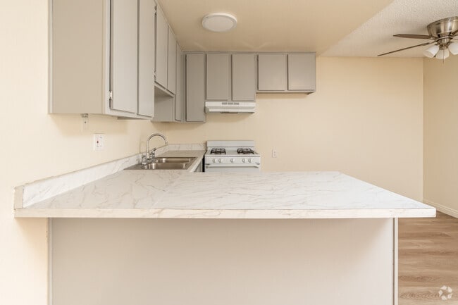 1BR, 1BA - 527SF - Kitchen - 700 S Lake St