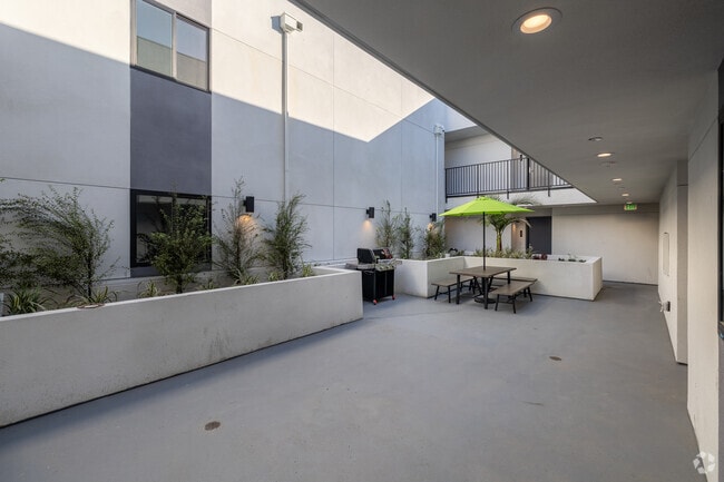 Courtyard - Thrive Apartments