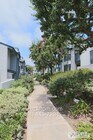 Photo - 1 Bed 1 Bath near UCSD, laundry in unit, P... Condo Unit 106