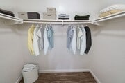 Photo - Spacious & Sunny 1, 2, and 3-bedroom apart... Apartments