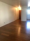 Photo - Luna Apartment Unit 3040