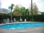 Wellesley Court Apartments - Wellesley Court Apartments