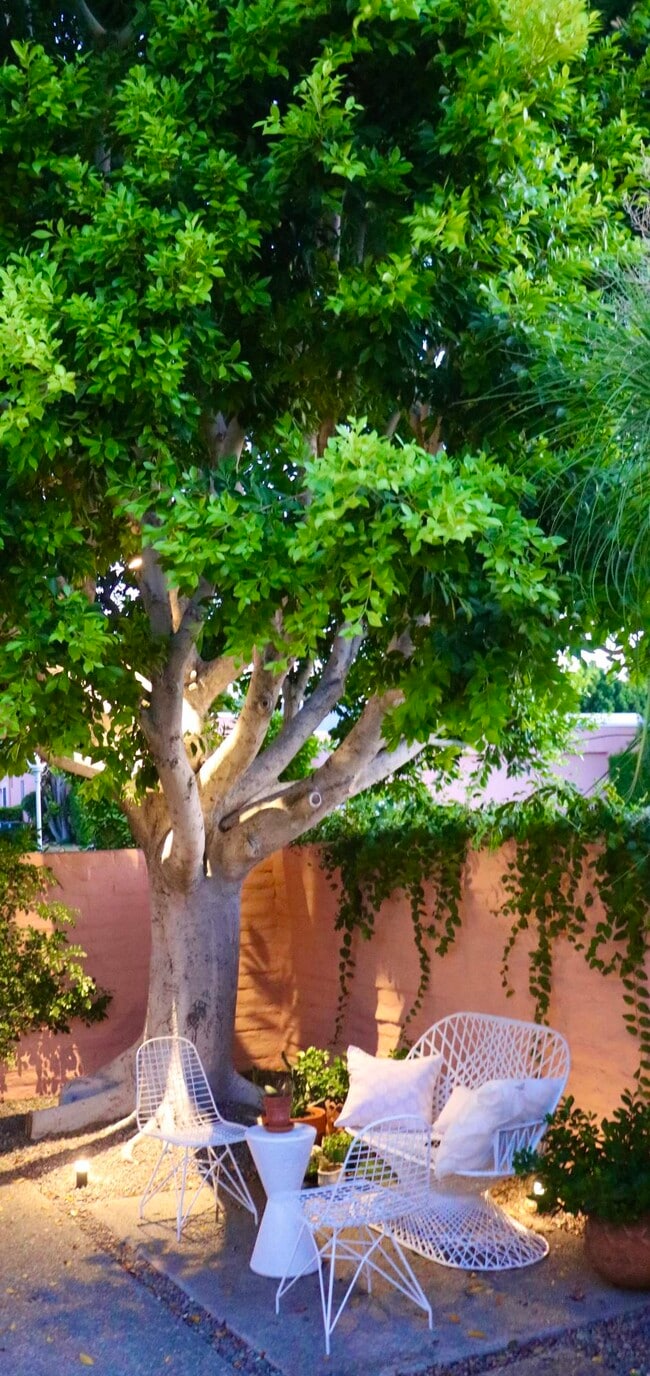 Photo - 47192 El Agadir