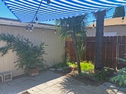 Garden - 4656 50th St