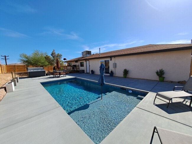 Photo - Desert Gem!