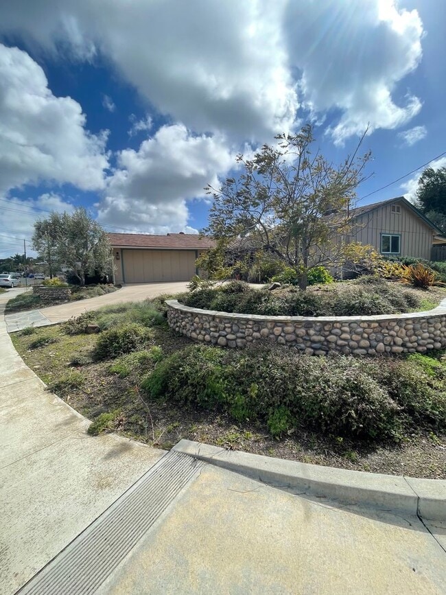 Clairemont Beauty - Welcome Home! - Clairemont Beauty - Welcome Home!