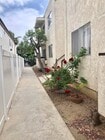 Walkway to Units - View from Rear of Building - 3739 Clarington Ave Apartments Unit 26