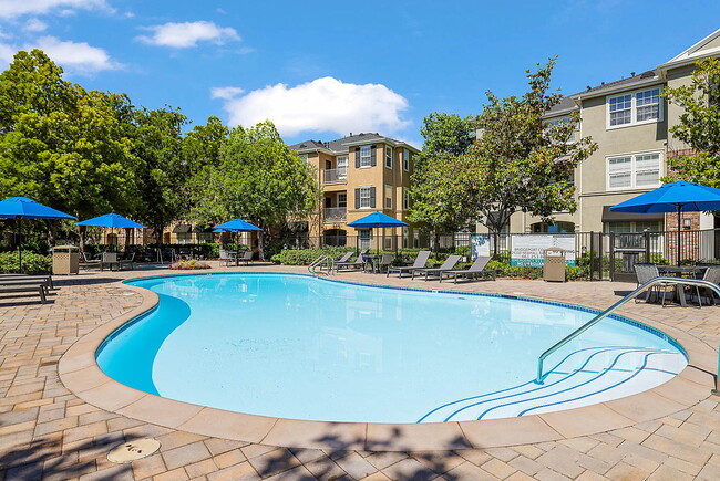 Photo - Bridgeport Coast Apartments
