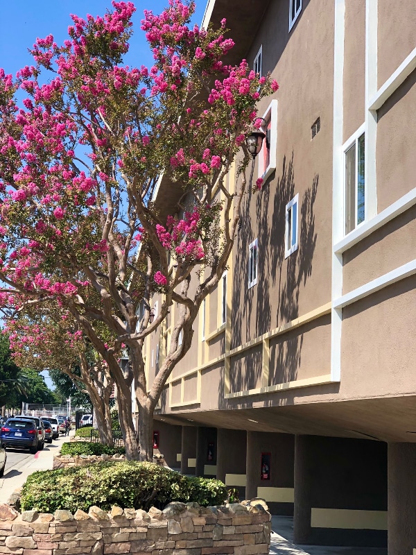 Photo - 4735 W Broadway Unit 1B