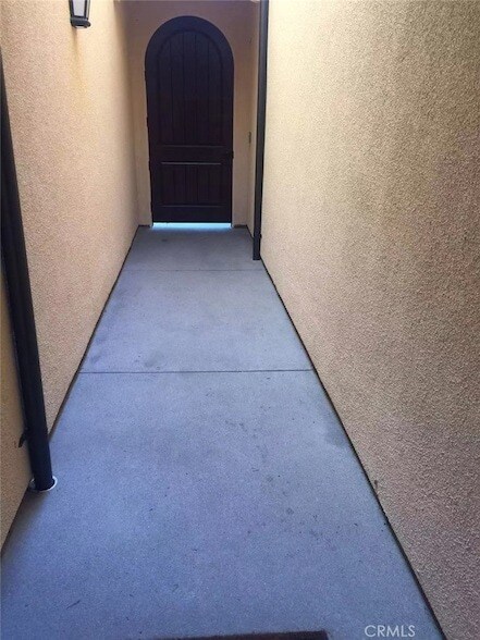 Photo - 146 Velvet Flower