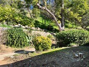 Photo - 1866 N Ave 56 Unit 1866