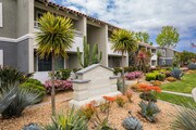 Photo - Serena Vista Apartments