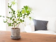 Photo - Potomac Square Apartments