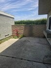 Photo - 10 Goldenbush