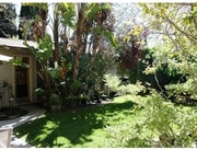 Look into garden oasis - 3626 Veteran Ave Unit Back House