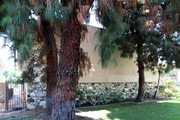 Photo - Stuart Apartments