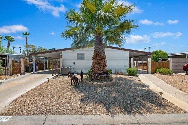 Photo - 73229 Adobe Springs Dr House