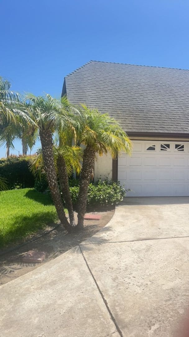 Available Now….large 4 bedroom in Vista, w... - Available Now….large 4 bedroom in Vista, w... House