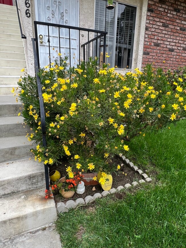 Front yard flowers - 4166 Garden Ave Unit C