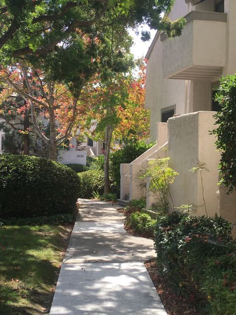 Building Photo - 8470 Via Sonoma Unit 35 Rental