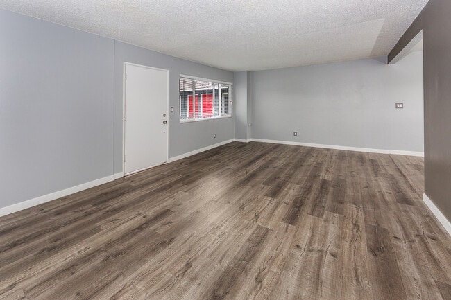 Great Find! Won't Last ~ Newly Renovated 1... - Great Find! Won't Last ~ Newly Renovated 1... Apartment Unit A