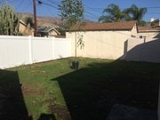 Backyard - 1809 Bonita Ave Unit 1809 Bonita