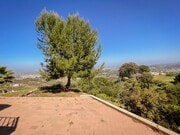 Photo - 913 Cycad Dr Unit 913 Cycad Dr - Lower