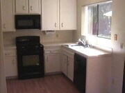 Photo - Single Family home with large back yard