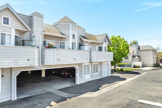 Orchid Gardens - Orchid Gardens