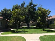 Main Courtyard - 1739 N Hollywood Way Apartment Unit 1739