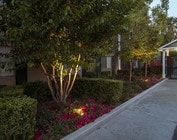 Community - Palm Central South