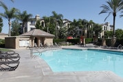 Pool - Esplanade Apartments