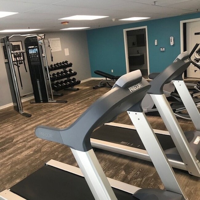 Photo - Terra Apartments