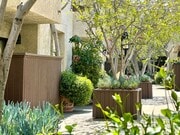 Photo - Magnolia Glen Apartments