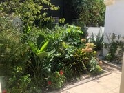 front courtyard garden - 4269 McClung Dr Apartments Unit 4269