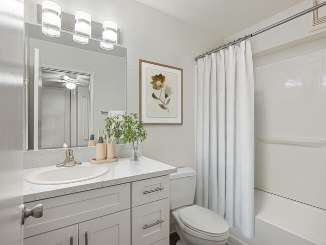 Remodeled Apartment - Aztec Campus Apartments *Parking Included*