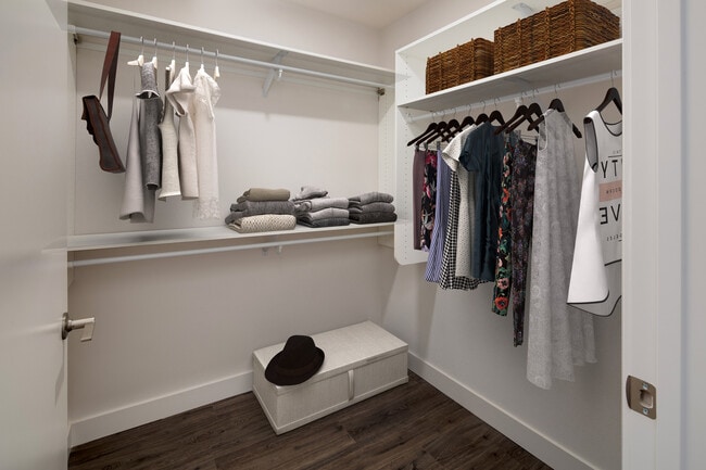 Upgrade Package walk-in closet - AVA Arts District