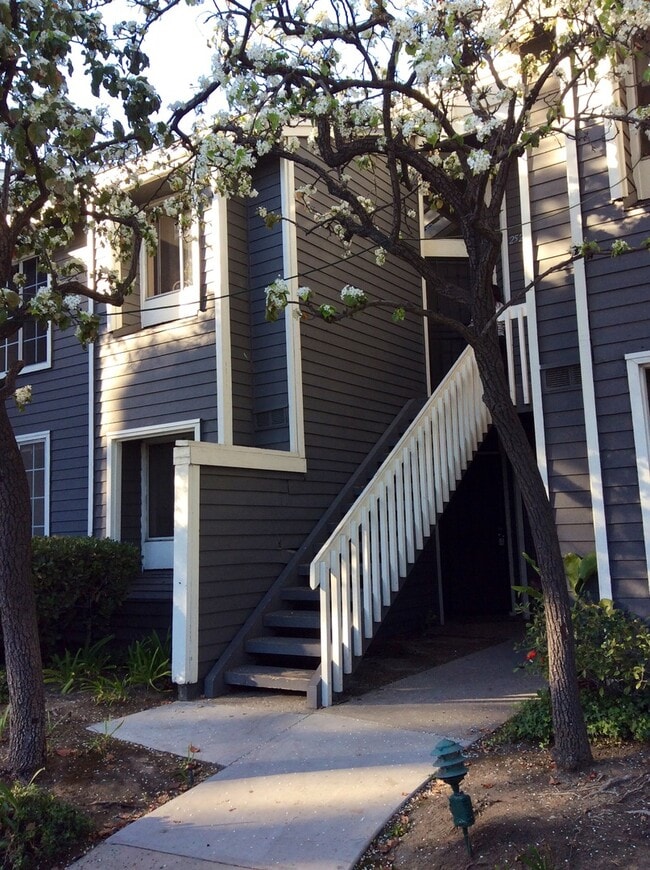 Building Photo - GORGEOUS 2 BEDROOM 1 BATH CONDO