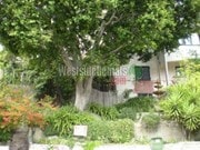 2174 Beachwood Terrace 90068 - 2174 Beachwood Ter Unit 2174