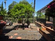 Shared backyard - 1647 Angelus Ave Apartments Unit 1647 Angelus Ave
