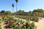 Photo - Town Park Villas