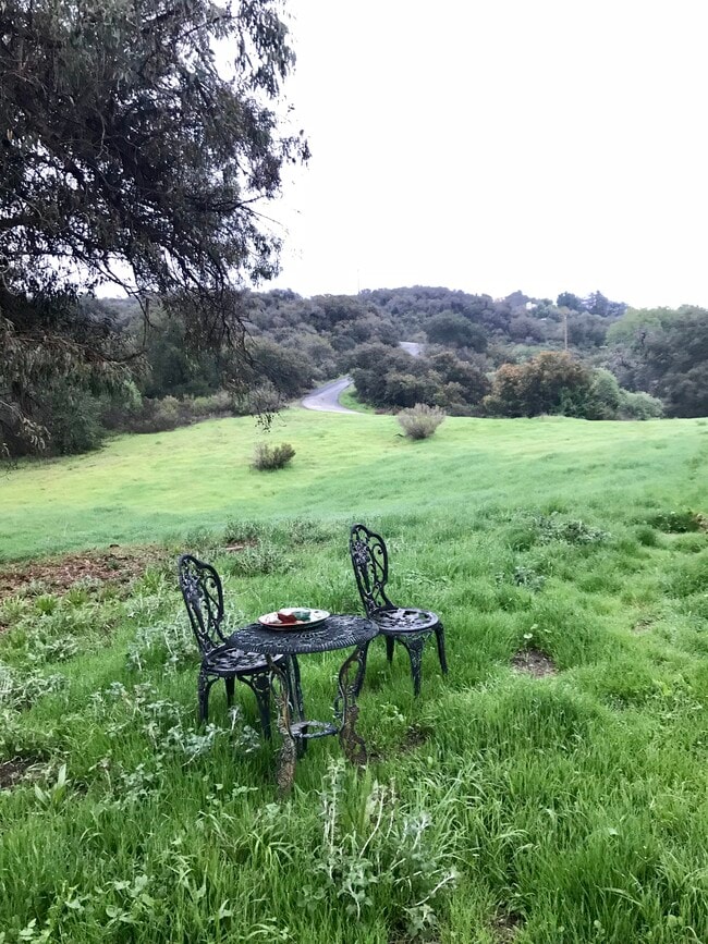 Photo - 1124 Rosario Dr