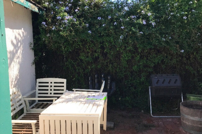 Patio/Yard - 1236 10th St Unit B