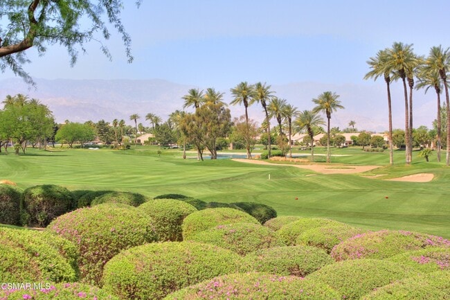 Photo - 78448 Desert Willow Dr