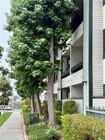 Photo - 1903 Temple Ave Condo Unit 325