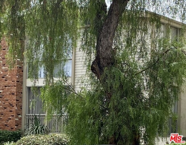 Building Photo - 1138 11th St Unit 6