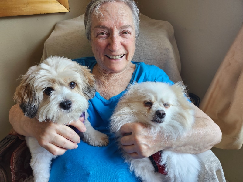 Photo - 307 W Mountain View Ave Unit D