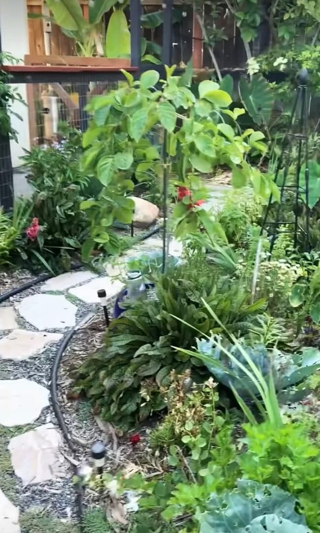 Photo - 395 Plaza Calimar